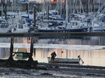 SX02526 Man at boat in Malahide Marina.jpg